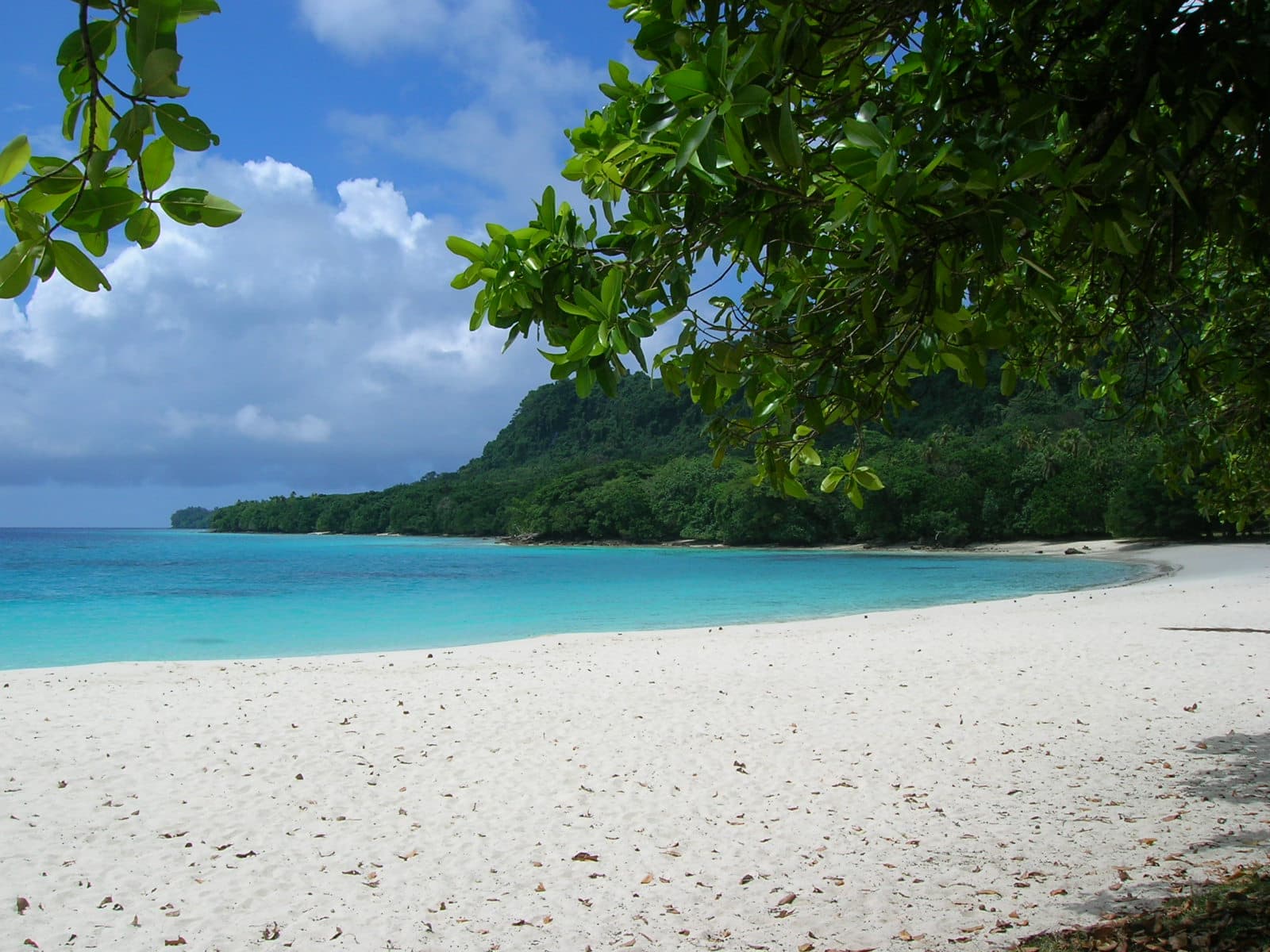 Champagne Beach on Espiritu Santo, Vanuatu